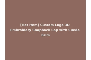 [Hot Item] Custom Logo 3D Embroidery Snapback Cap with Suede Brim