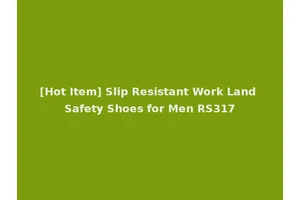 [Hot Item] Slip Resistant Work Land Safety Shoes for Men RS317