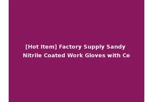 [Hot Item] Factory Supply Sandy Nitrile Coated Work Gloves with Ce