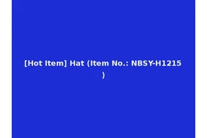 [Hot Item] Hat (Item No.: NBSY-H1215)