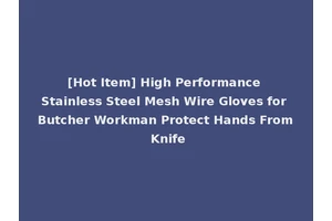 [Hot Item] High Performance Stainless Steel Mesh Wire Gloves for Butcher Workman Protect Hands From Knife