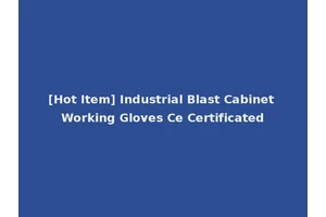 [Hot Item] Industrial Blast Cabinet Working Gloves Ce Certificated