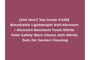 [Hot Item] Top Grade En388 Breathable Lightweight Anti-Abrasion / Abrasion-Resistant Foam Nitrile Palm Safety Work Gloves with Nitrile Dots for Garden Cleaning