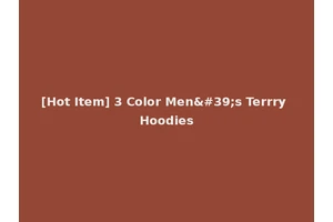 [Hot Item] 3 Color Men's Terrry Hoodies