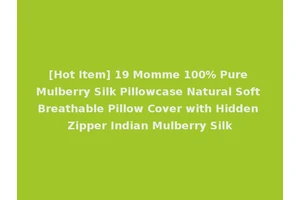 [Hot Item] 19 Momme 100% Pure Mulberry Silk Pillowcase Natural Soft Breathable Pillow Cover with Hidden Zipper Indian Mulberry Silk