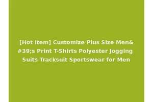 [Hot Item] Customize Plus Size Men's Print T-Shirts Polyester Jogging Suits Tracksuit Sportswear for Men