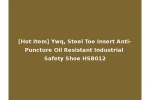 [Hot Item] Ywq, Steel Toe Insert Anti-Puncture Oil Resistant Industrial Safety Shoe HSB012