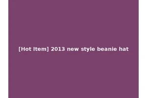[Hot Item] 2013 new style beanie hat