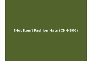 [Hot Item] Fashion Hats (CH-H300)