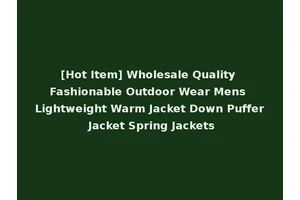 [Hot Item] Wholesale Quality Fashionable Outdoor Wear Mens Lightweight Warm Jacket Down Puffer Jacket Spring Jackets