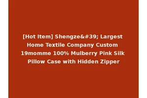 [Hot Item] Shengze' Largest Home Textile Company Custom 19momme 100% Mulberry Pink Silk Pillow Case with Hidden Zipper