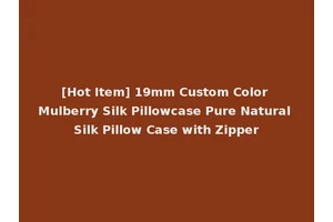 [Hot Item] 19mm Custom Color Mulberry Silk Pillowcase Pure Natural Silk Pillow Case with Zipper
