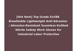 [Hot Item] Top Grade En388 Breathable Lightweight Anti-Abrasion / Abrasion-Resistant Seamless Knitted Nitrile Safety Work Gloves for Industrial Labor Protective