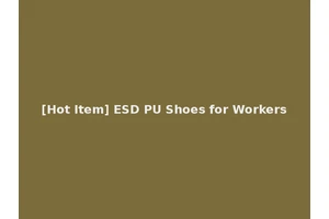 [Hot Item] ESD PU Shoes for Workers
