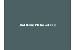 [Hot Item] PU Jacket (01)