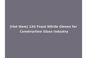 [Hot Item] 13G Foam Nitrile Gloves for Construction Glass Industry