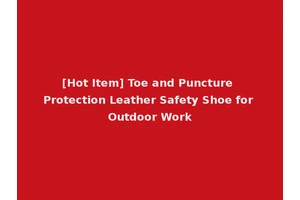 [Hot Item] Toe and Puncture Protection Leather Safety Shoe for Outdoor Work