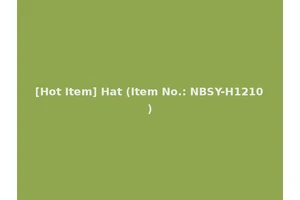 [Hot Item] Hat (Item No.: NBSY-H1210)