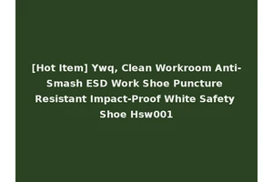 [Hot Item] Ywq, Clean Workroom Anti-Smash ESD Work Shoe Puncture Resistant Impact-Proof White Safety Shoe Hsw001