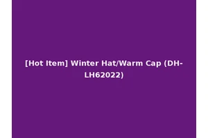 [Hot Item] Winter Hat/Warm Cap (DH-LH62022)