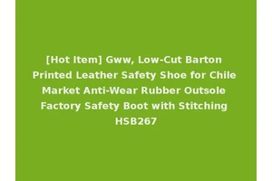 [Hot Item] Gww, Low-Cut Barton Printed Leather Safety Shoe for Chile Market Anti-Wear Rubber Outsole Factory Safety Boot with Stitching HSB267