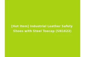 [Hot Item] Industrial Leather Safety Shoes with Steel Toecap (SN1622)