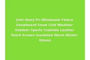 [Hot Item] Pri Wholesale Fleece Snowboard Snow Cold Weather Outdoor Sports Cowhide Leather Touch Screen Insulated Warm Winter Gloves
