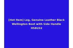 [Hot Item] Lxg, Genuine Leather Black Wellington Boot with Side Handle HSB232