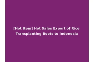 [Hot Item] Hot Sales Export of Rice Transplanting Boots to Indonesia