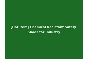 [Hot Item] Chemical Resistant Safety Shoes for Industry