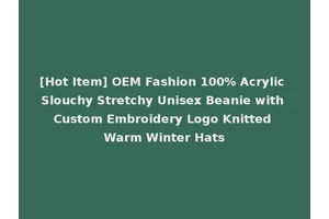 [Hot Item] OEM Fashion 100% Acrylic Slouchy Stretchy Unisex Beanie with Custom Embroidery Logo Knitted Warm Winter Hats