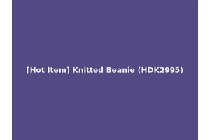 [Hot Item] Knitted Beanie (HDK2995)