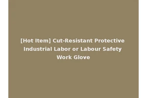 [Hot Item] Cut-Resistant Protective Industrial Labor or Labour Safety Work Glove
