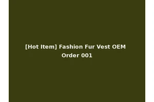 [Hot Item] Fashion Fur Vest OEM Order 001