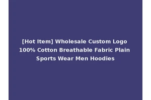 [Hot Item] Wholesale Custom Logo 100% Cotton Breathable Fabric Plain Sports Wear Men Hoodies