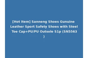 [Hot Item] Sanneng Shoes Gunuine Leather Sport Safety Shoes with Steel Toe Cap+PU/PU Outsole S1p (SN5563)
