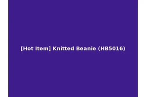 [Hot Item] Knitted Beanie (HB5016)