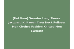[Hot Item] Sweater Long Sleeve Jacquard Knitwear Crew Neck Pullover Men Clothes Fashion Knitted Men Sweater