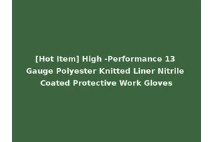 [Hot Item] High -Performance 13 Gauge Polyester Knitted Liner Nitrile Coated Protective Work Gloves