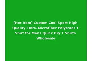 [Hot Item] Custom Cool Sport High Quality 100% Microfiber Polyester T Shirt for Mens Quick Dry T Shirts Wholesale