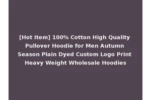 [Hot Item] 100% Cotton High Quality Pullover Hoodie for Men Autumn Season Plain Dyed Custom Logo Print Heavy Weight Wholesale Hoodies