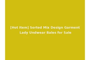 [Hot Item] Sorted Mix Design Garment Lady Undwear Bales for Sale