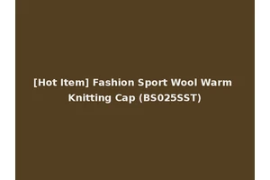 [Hot Item] Fashion Sport Wool Warm Knitting Cap (BS025SST)
