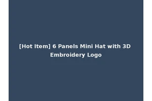 [Hot Item] 6 Panels Mini Hat with 3D Embroidery Logo