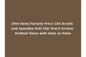 [Hot Item] Factory Price 13G Acrylic and Spandex Anti Slip Touch Screen Knitted Glove with Dots on Palm