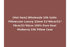 [Hot Item] Wholesale Silk Satin Pillowcase Luxury 22mm 51*66cm/51*76cm/51*92cm 100% Pure Real Mulberry Silk Pillow Case