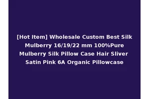 [Hot Item] Wholesale Custom Best Silk Mulberry 16/19/22 mm 100%Pure Mulberry Silk Pillow Case Hair Sliver Satin Pink 6A Organic Pillowcase