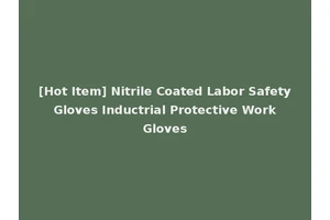 [Hot Item] Nitrile Coated Labor Safety Gloves Inductrial Protective Work Gloves