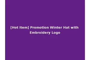[Hot Item] Promotion Winter Hat with Embroidery Logo