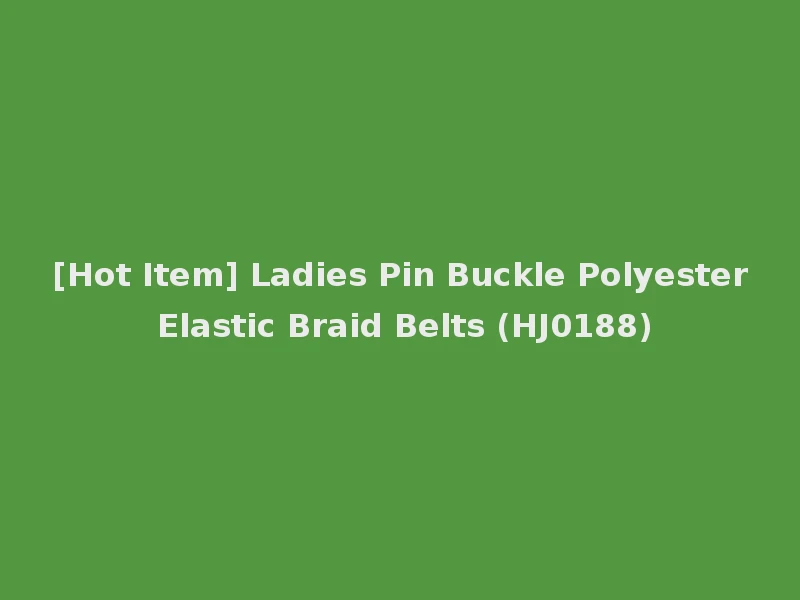 [Hot Item] Ladies Pin Buckle Polyester Elastic Braid Belts (HJ0188)